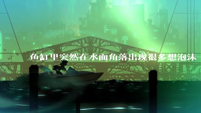 鱼缸里突然在水面角落出现很多想泡沫一样的气泡是怎么回事？