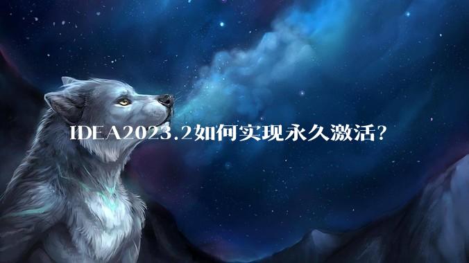 IDEA2023.2如何实现永久激活？