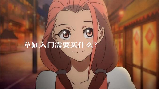 草缸入门需要买什么？