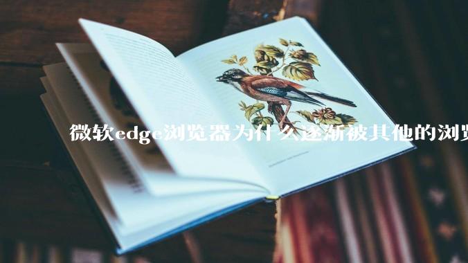 微软edge浏览器为什么逐渐被其他的浏览器代替？
