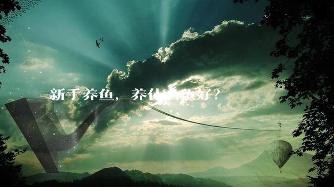 新手养鱼，养什么鱼好？