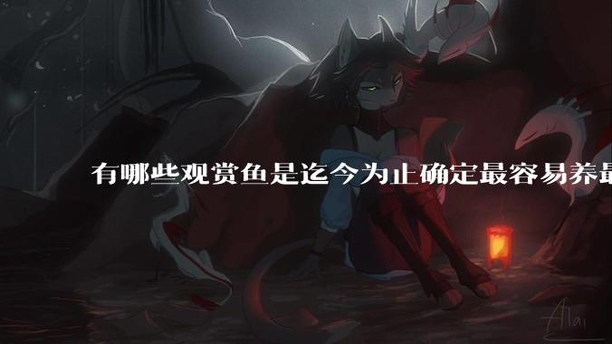有哪些观赏鱼是迄今为止确定最容易养最不容易死的？