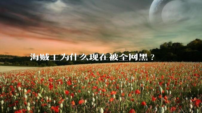 海贼王为什么现在被全网黑?