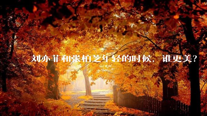 刘亦菲和张柏芝年轻的时候，谁更美？