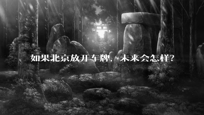 如果北京放开车牌，未来会怎样？