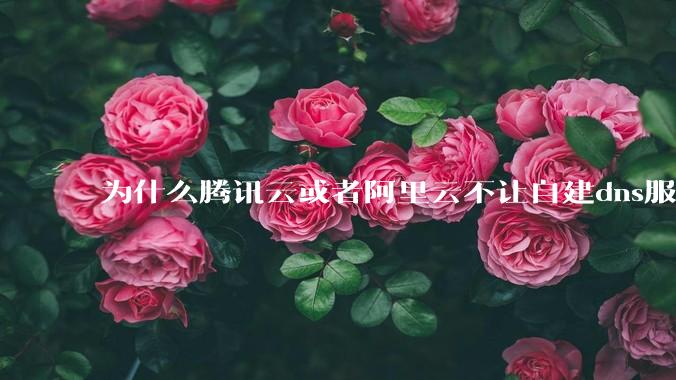 为什么腾讯云或者阿里云不让自建dns服务器?