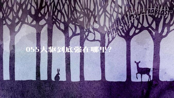 055大驱到底强在哪里？