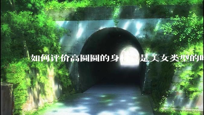 如何评价高圆圆的身材算是美女类型的吗？