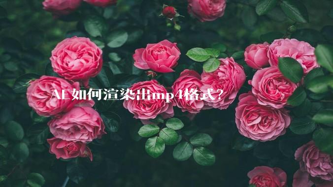 AE如何渲染出mp4格式？
