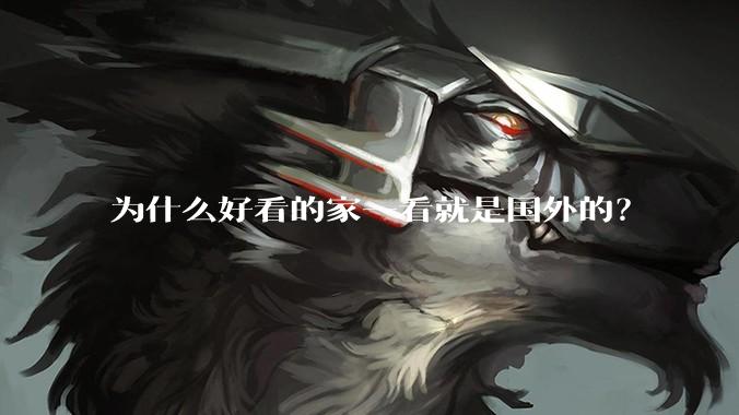 为什么好看的家一看就是国外的？