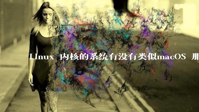 Linux 内核的系统有没有类似macOS 那样漂亮流畅的桌面环境的发行版本?
