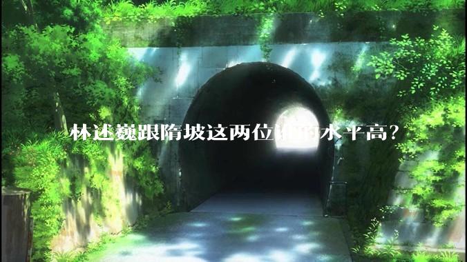 林述巍跟隋坡这两位谁的水平高？