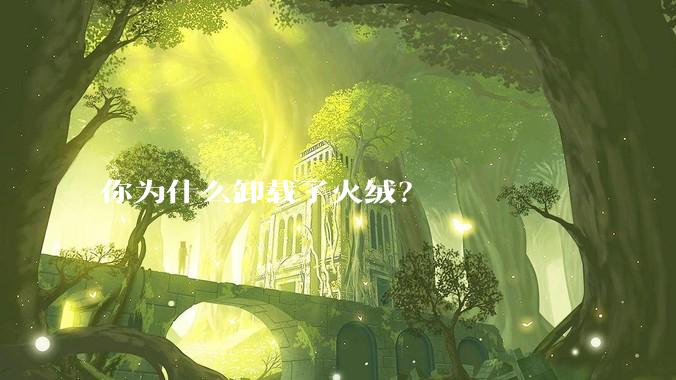 你为什么卸载了火绒？