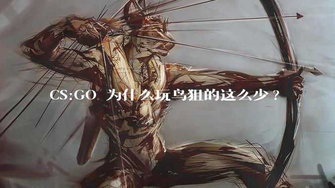 CS:GO 为什么玩鸟狙的这么少?